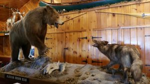 Inside the Clambake Restaurant features realistic Maine animals such as the brown bear and coyote.